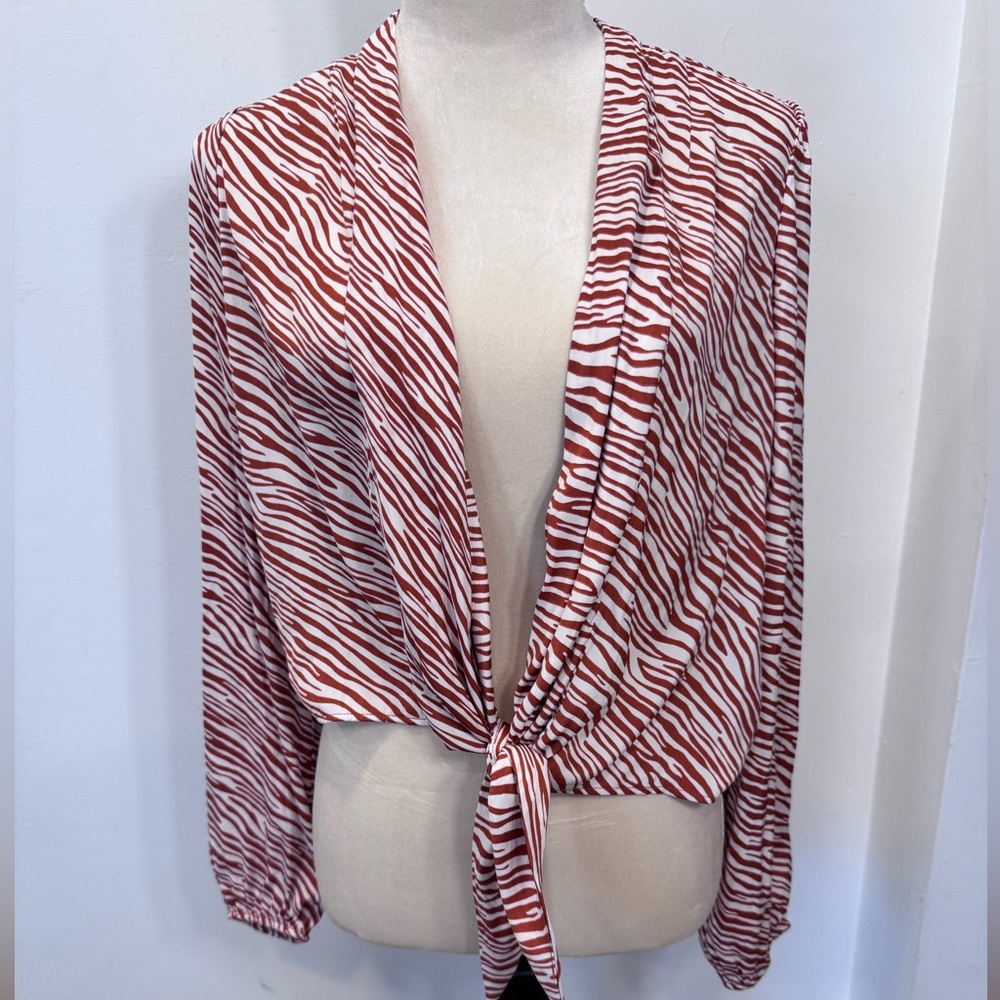 Zebra print - Picture 3 of 4